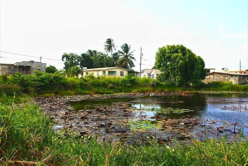 Tropical Winds Apartment Hotel Christ Church Saint Philip