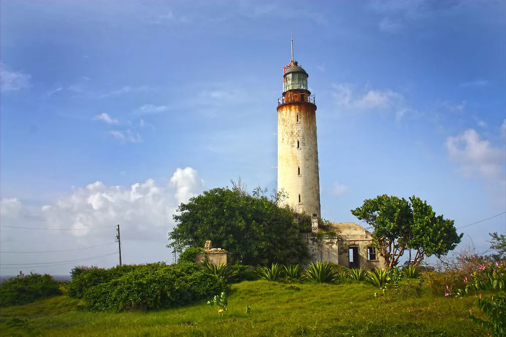 Tropical Winds Lejlighed St. Philip Barbados